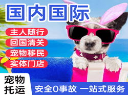 布尔津喀纳斯空运代理国际宠物托运 【国